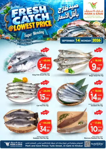 Fresh Catch @ Lowest Price