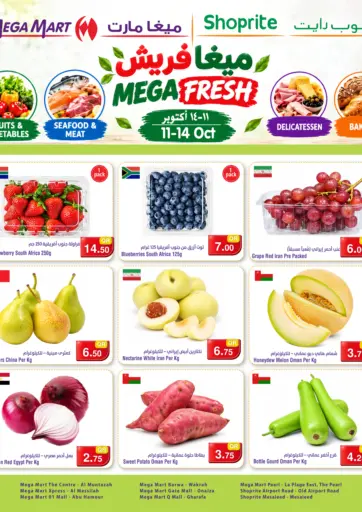 Mega Fresh
