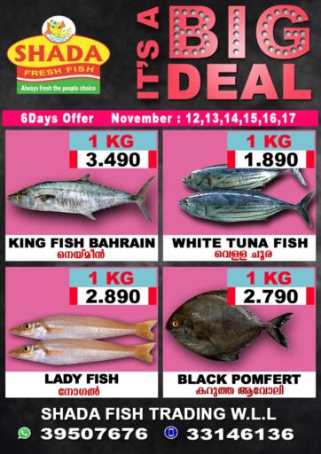 Bahrain Shada Fish offers in D4D Online. Its a Big Deal. . Till 17th November