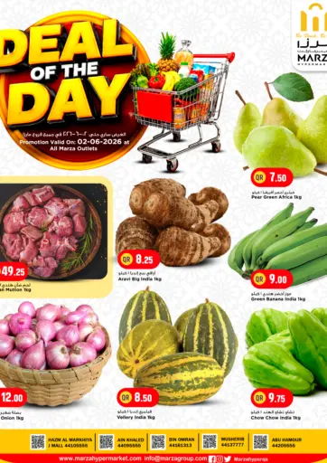 DEAL OF THE DAY-2026