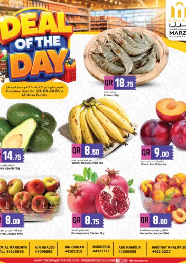 Deal Of The Day