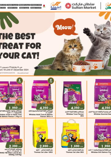 The Best Treat For Your Cat