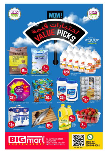 UAE - Abu Dhabi BIGmart offers in D4D Online. Al Teejan Street,Zayed city. . Till 9th February