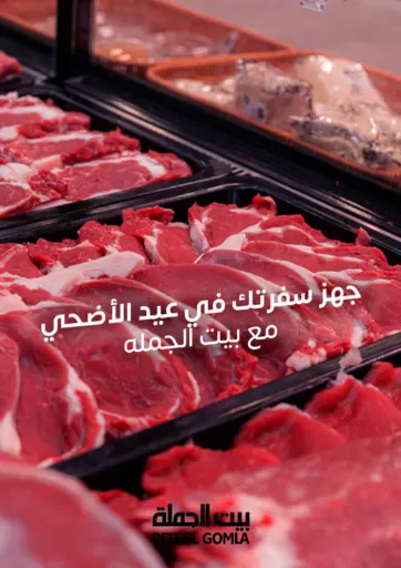 Special Offer