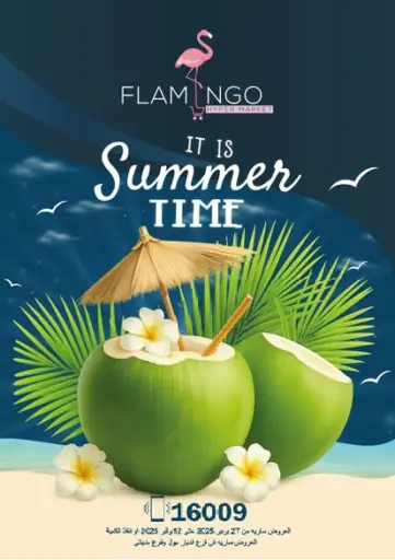 Flamingo Hyper Market - It is Summer Time in Egypt Offers - Egypt It is Summer Time