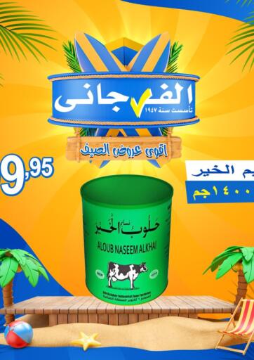 Egypt - Cairo El Fergany Hyper Market   offers in D4D Online. Summer Deals. . Till 1st June
