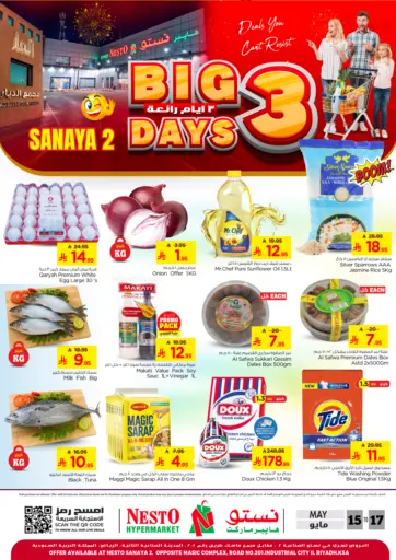 Big 3 Days - Sanaya 2