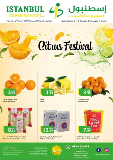 Citrus Festival