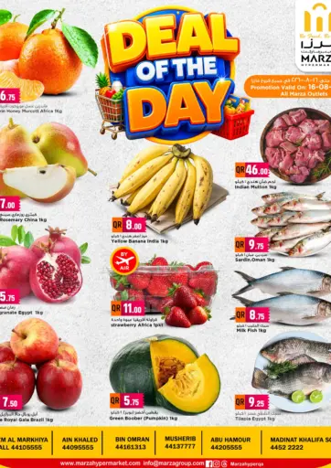 Deal Of The Day