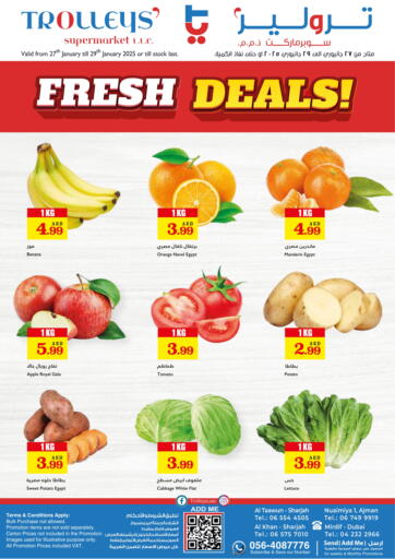 Fresh Deals