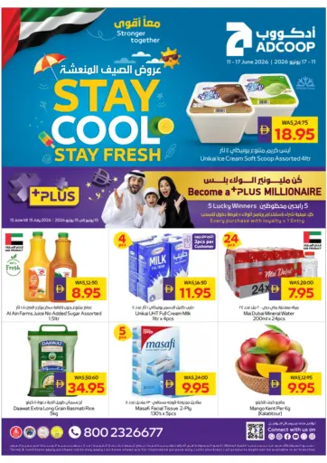Stay Cool Stay Fresh