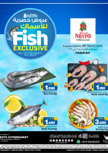 عروض نستو البحرين في دي٤دي أونلاين. الهملة - عروض حصرية للأسماك. . Only On 12th March