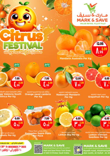 Citrus Festival