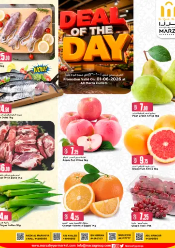 Deal of the Day