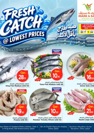 Fresh Catch