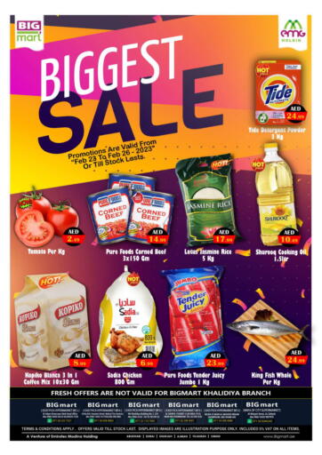 UAE - Abu Dhabi BIGmart offers in D4D Online. Biggest Sale. . Till 26th February