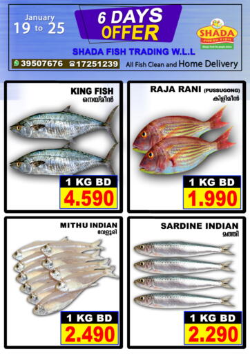 عروض شذى للأسماك البحرين في دي٤دي أونلاين. عرض لمدة ٦ أيام. . حتى ٢٥ يناير