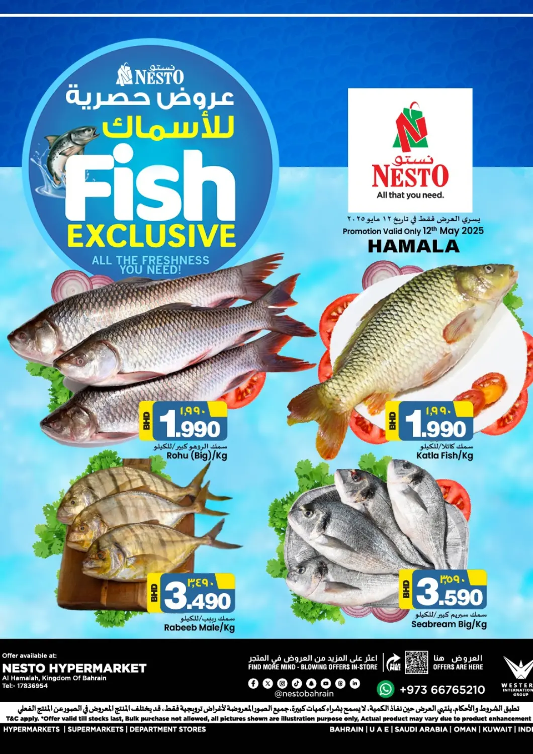 Bahrain NESTO  offers in D4D Online. Fish Exclusive @Hamalah. . Only On 12th May