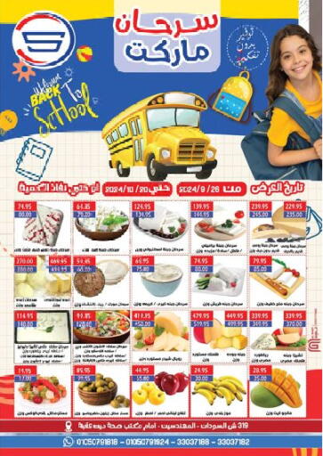 Egypt - Cairo Sarhan Market offers in D4D Online. Back to School. . Till 20th October