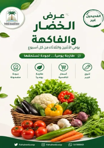 Special Offer