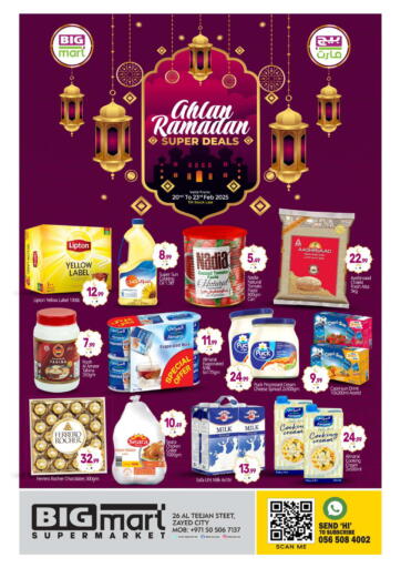 UAE - Abu Dhabi BIGmart offers in D4D Online. Al Teejan Street, Zayed City. . Till 23rd February