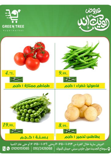 Egypt - Cairo Green Tree Hypermarket - Sohag offers in D4D Online. Special offer. . Till 26th January