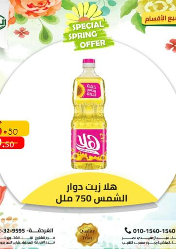 Egypt - Cairo Al Habib Market offers in D4D Online. Special Spring Offer. . Until Stock Last