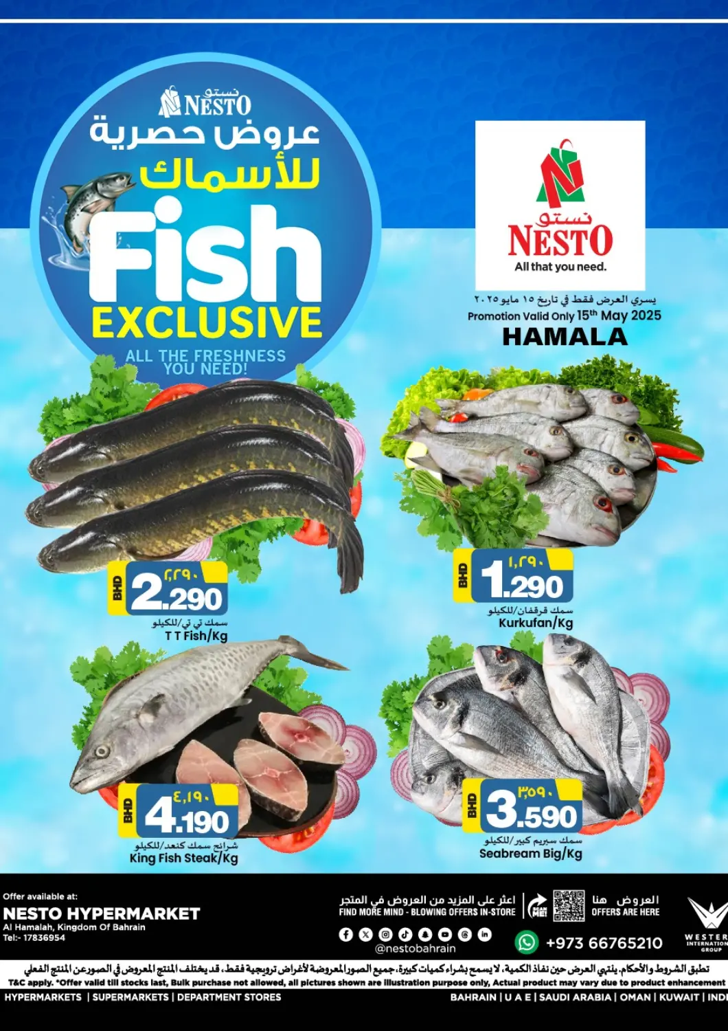 Bahrain NESTO  offers in D4D Online. Fish Exclusive. . Only On 15th May