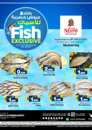 عروض نستو البحرين في دي٤دي أونلاين. عروض حصرية للاسماك. . Only On 13th March