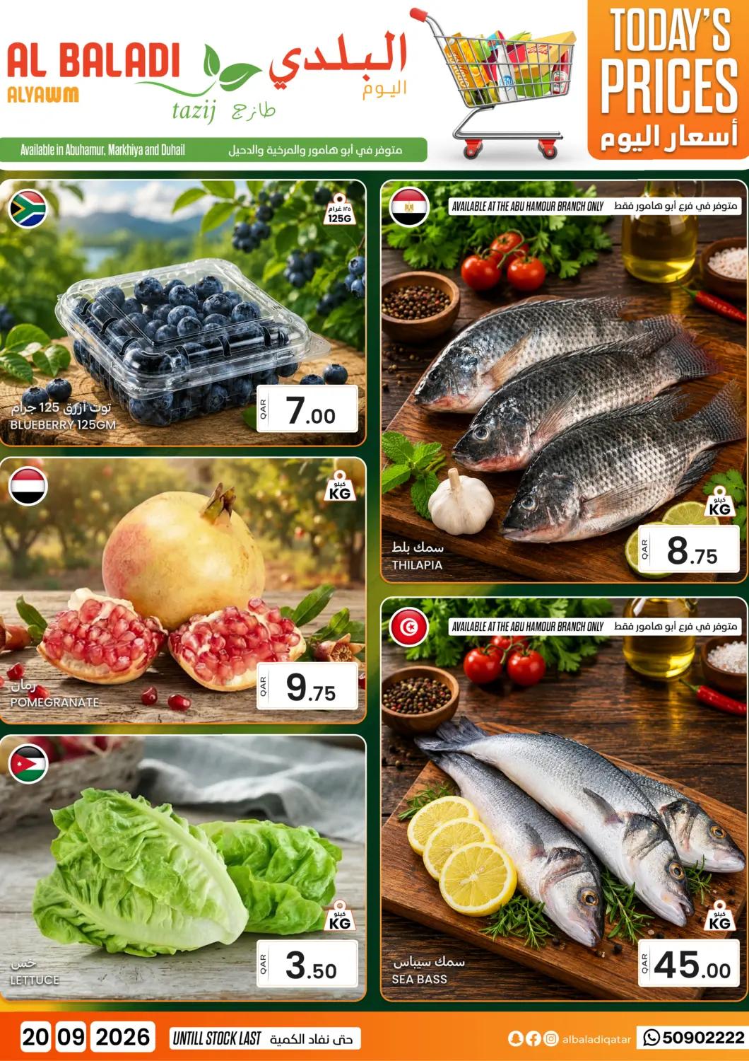 Qatar - Doha Al Baladi Al Yawm offers in D4D Online. Todays Prices. . Only On 20th September