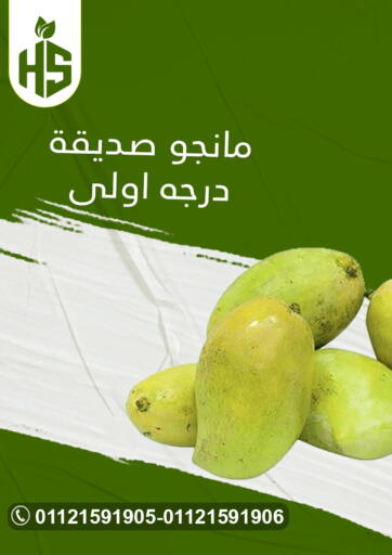 عروض أولاد حسان Egypt - القاهرة في دي٤دي أونلاين. عروض خاصة. . Until Stock Lasts