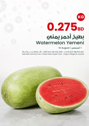 Watermelon One Day Offer