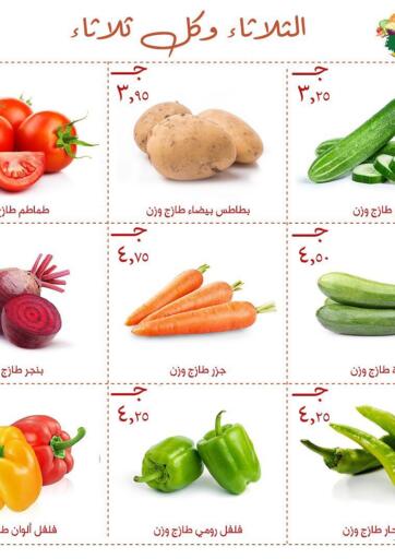 Egypt - Cairo Arafa Market offers in D4D Online. Special Offer. . Only On 31st May