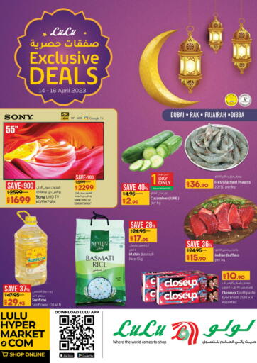 UAE - Fujairah Lulu Hypermarket offers in D4D Online. Exclusive Delas. . Till 16th April