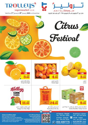 Citrus Festival