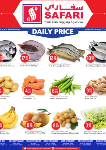 Daily Price