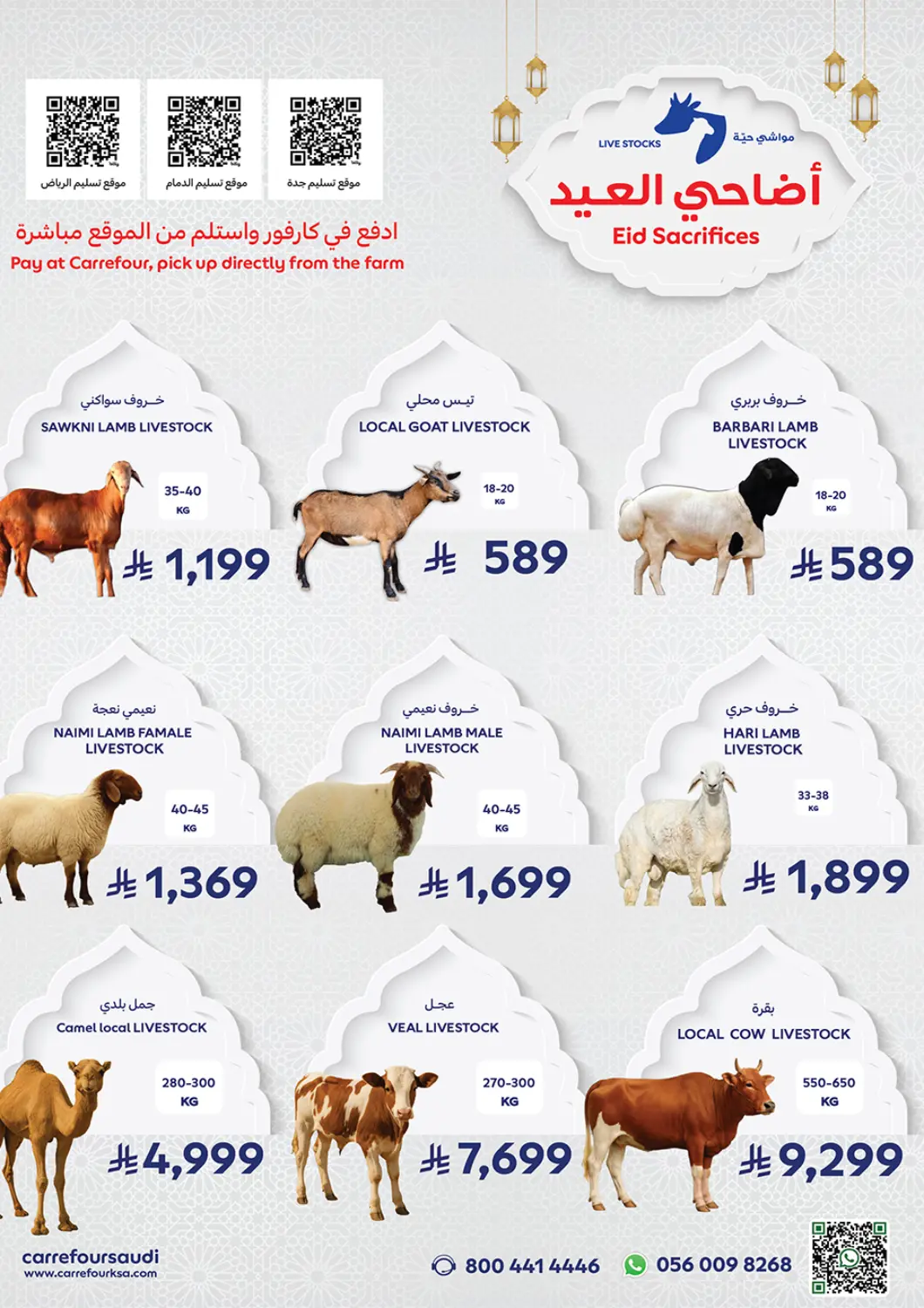 عروض كارفور مملكة العربية السعودية, السعودية, سعودية - الخبر‎ في دي٤دي أونلاين. أضاحي العيد. . حتى نفاذ الكمية