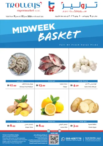 Mid Week Basket
