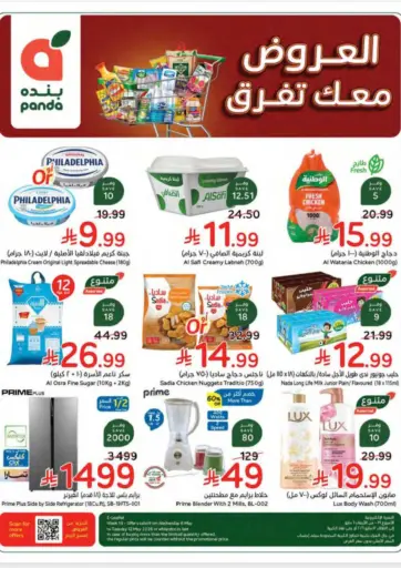 Special Offer