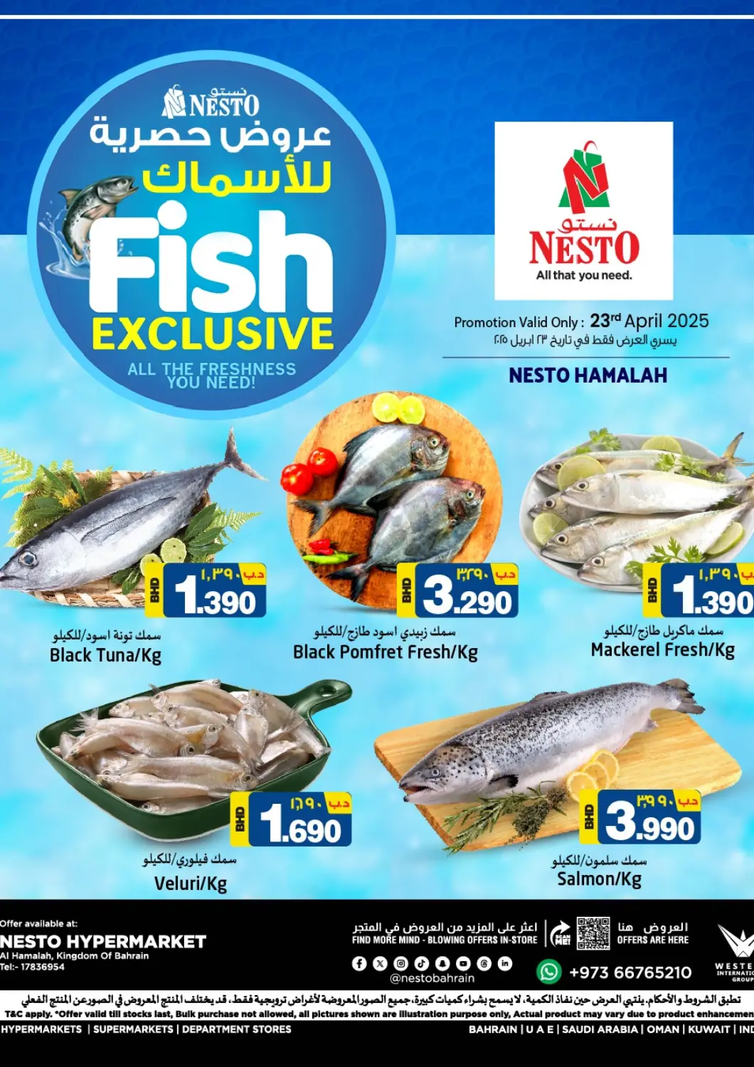 Bahrain NESTO  offers in D4D Online. Fish Exclusive. . Only On 23rd April