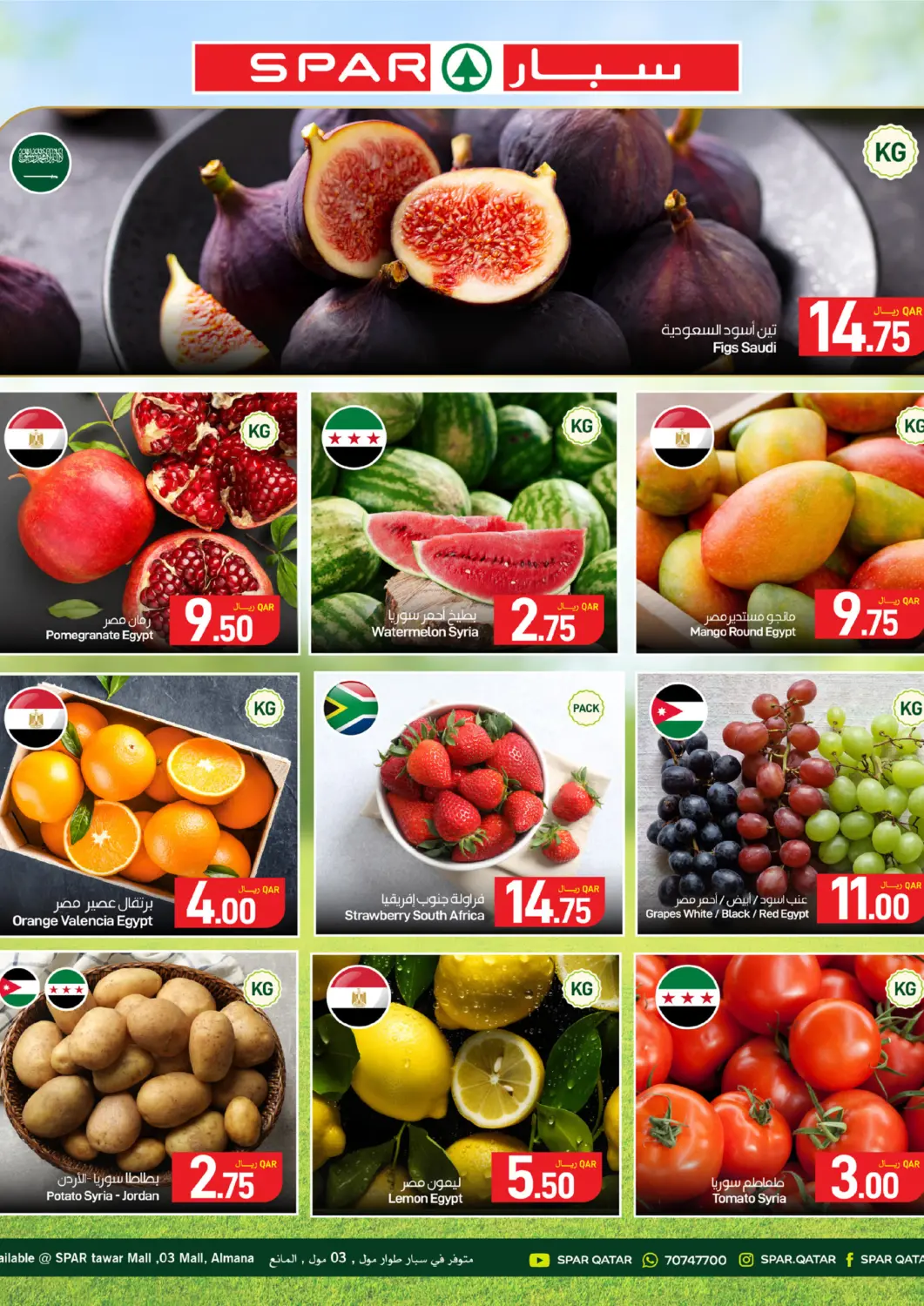 عروض ســبــار قطر - الخور في دي٤دي أونلاين. Fresh Deals. . Till 8th August