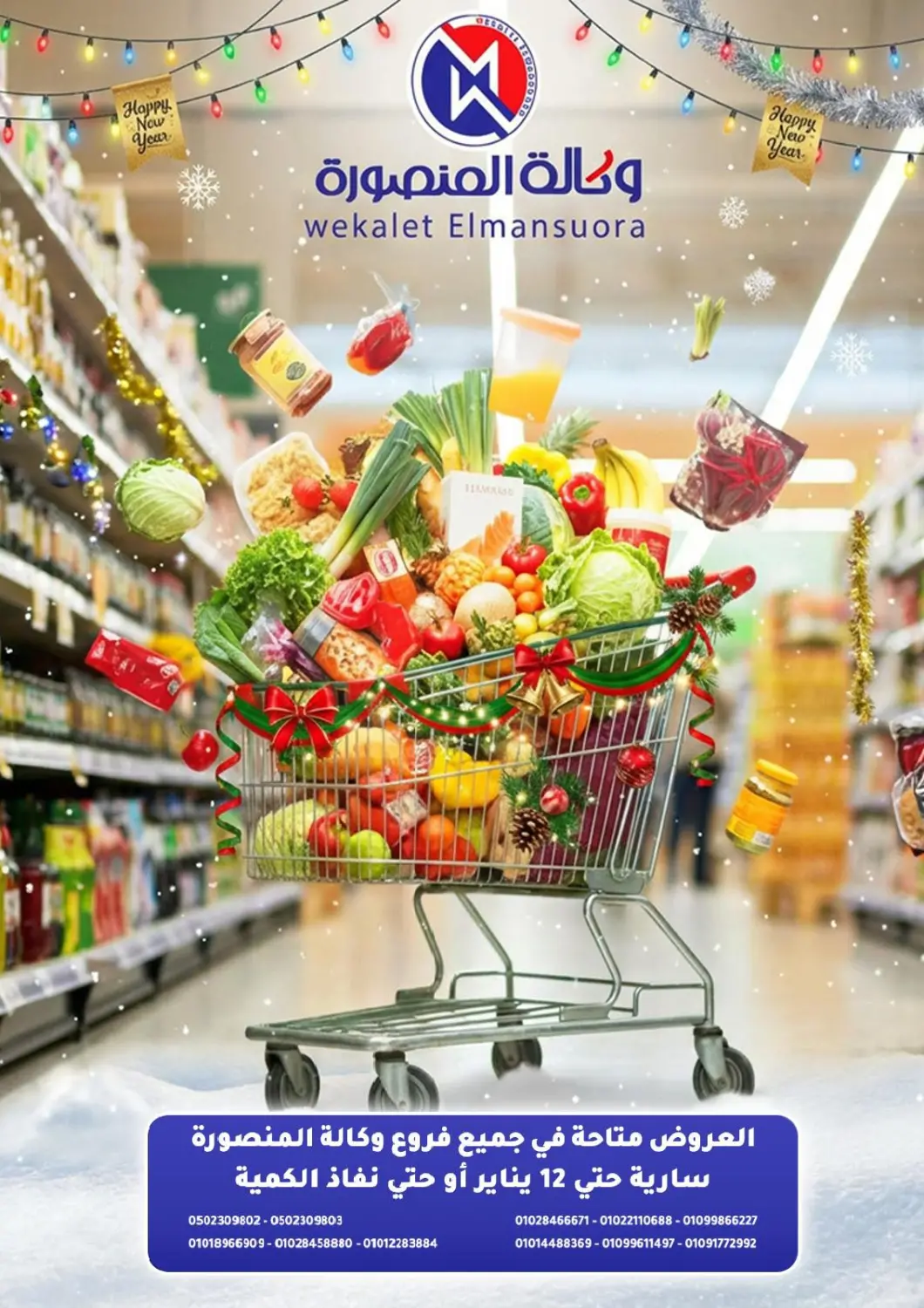 Egypt - Cairo Wekalet Elmansoura - Dakahlia  offers in D4D Online. Special Offer. . Till 12th January