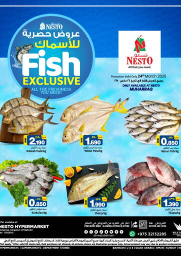 عروض نستو البحرين في دي٤دي أونلاين. عروض حصرية للأسماك. . Only On 24th March