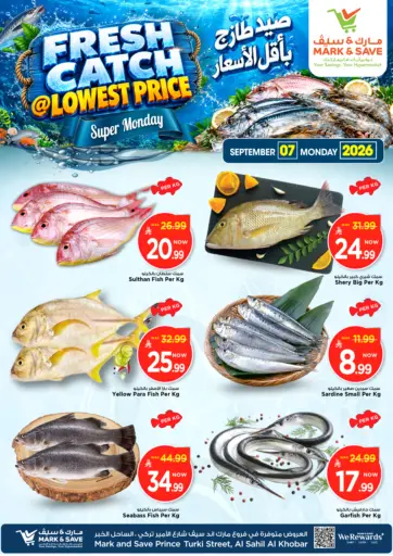 Fresh Catch @ Lowest Price