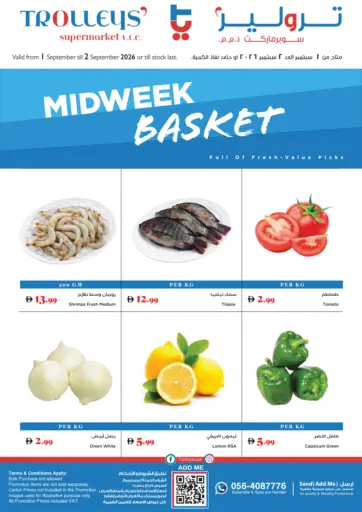 Midweek Basket