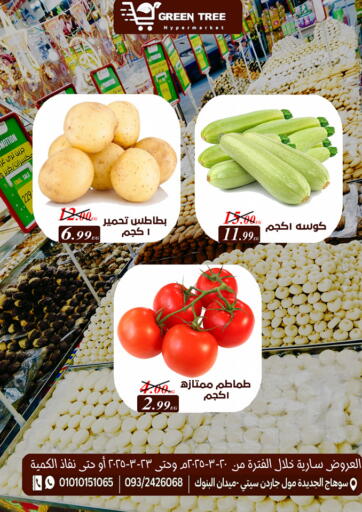 Egypt - Cairo Green Tree Hypermarket - Sohag offers in D4D Online. Special Offer. . Till 23rd March