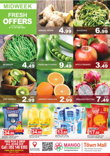 UAE - Dubai Mango Hypermarket LLC offers in D4D Online