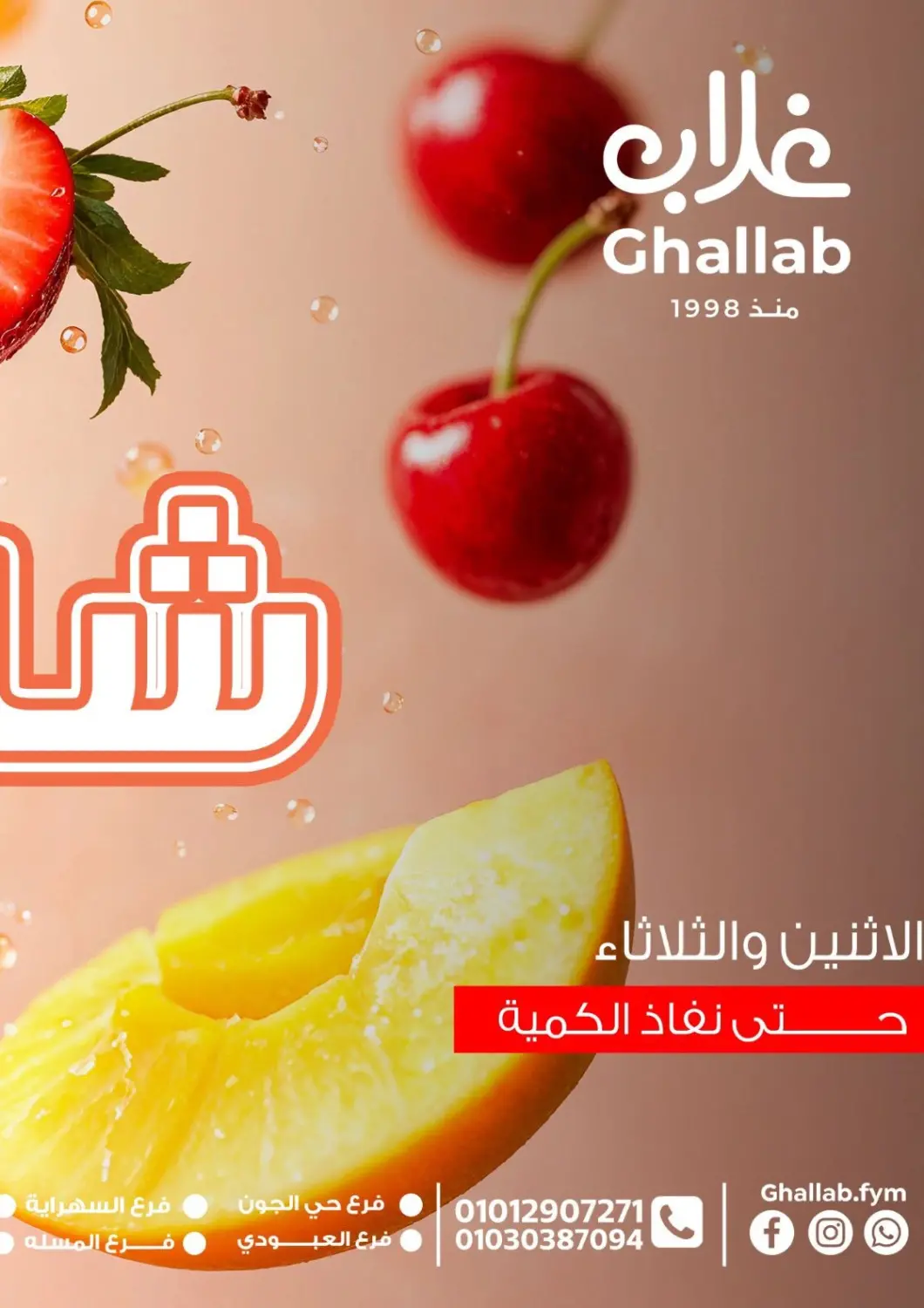 Egypt - Cairo Ghallab Market offers in D4D Online. Special Offer. . Till 22nd April