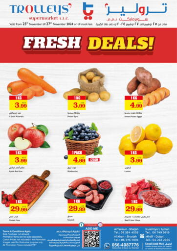 Fresh Deals