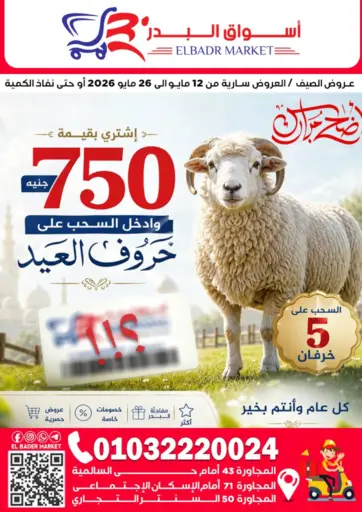 Special Offer